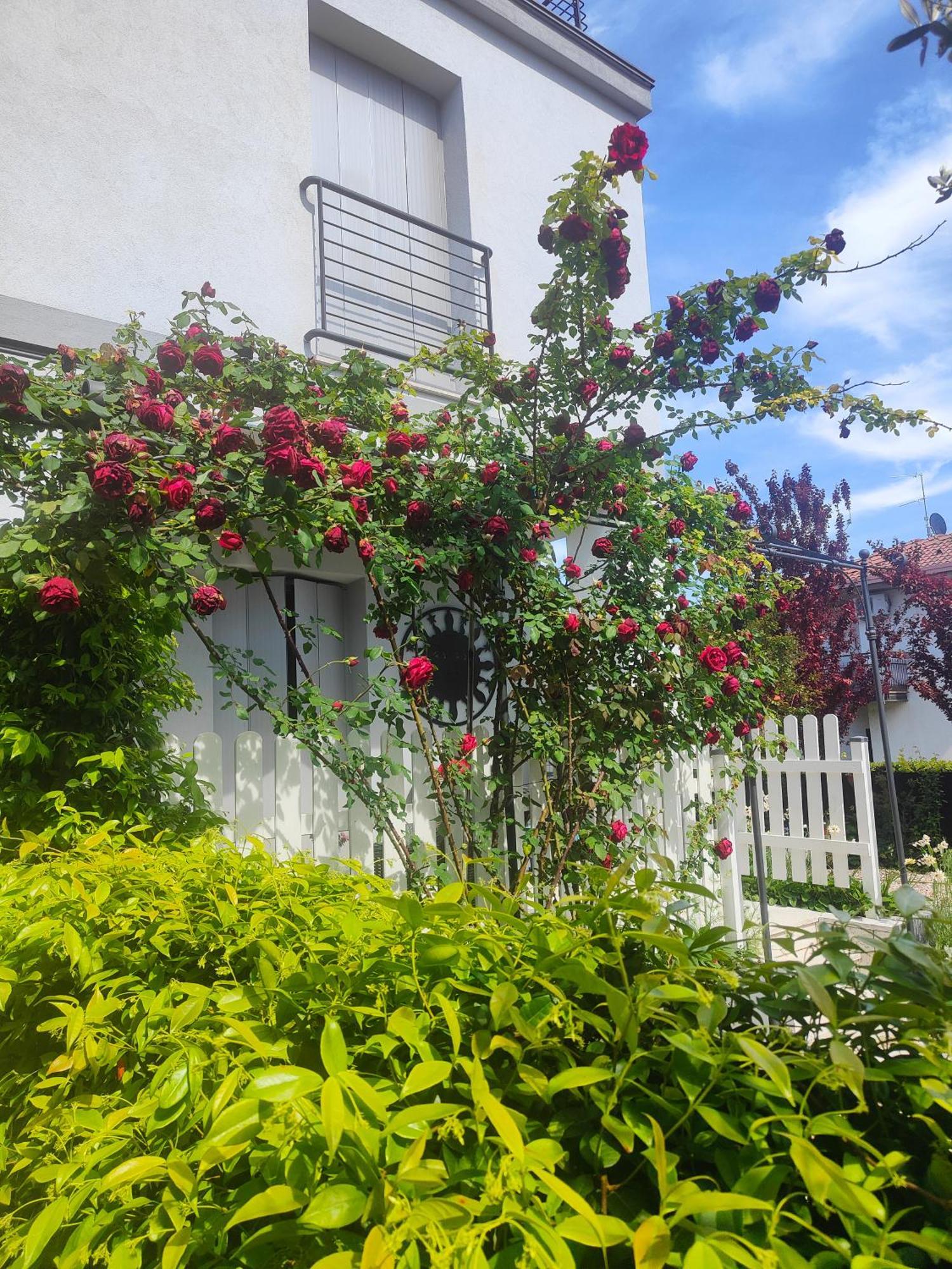 Villa Marianna Garda Lake Peschiera del Garda Bagian luar foto